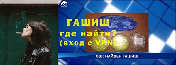 индика Бородино