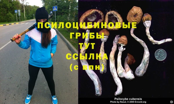 MDMA Верхний Тагил