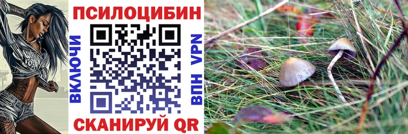 мега ССЫЛКА  Стерлитамак  Псилоцибиновые грибы прущие грибы 